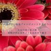 母の日に人気の花と花言葉