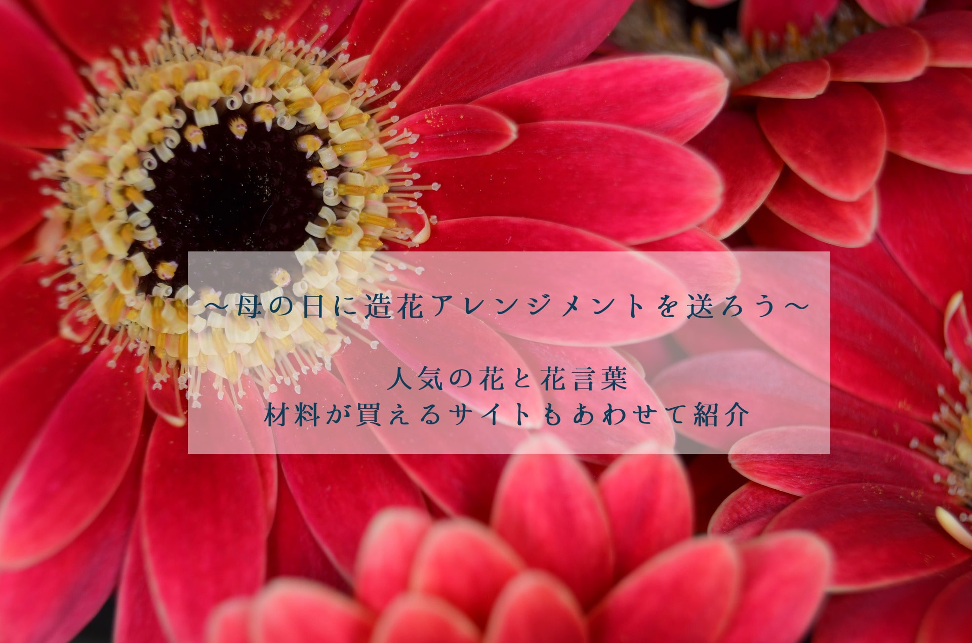 母の日に人気の花と花言葉