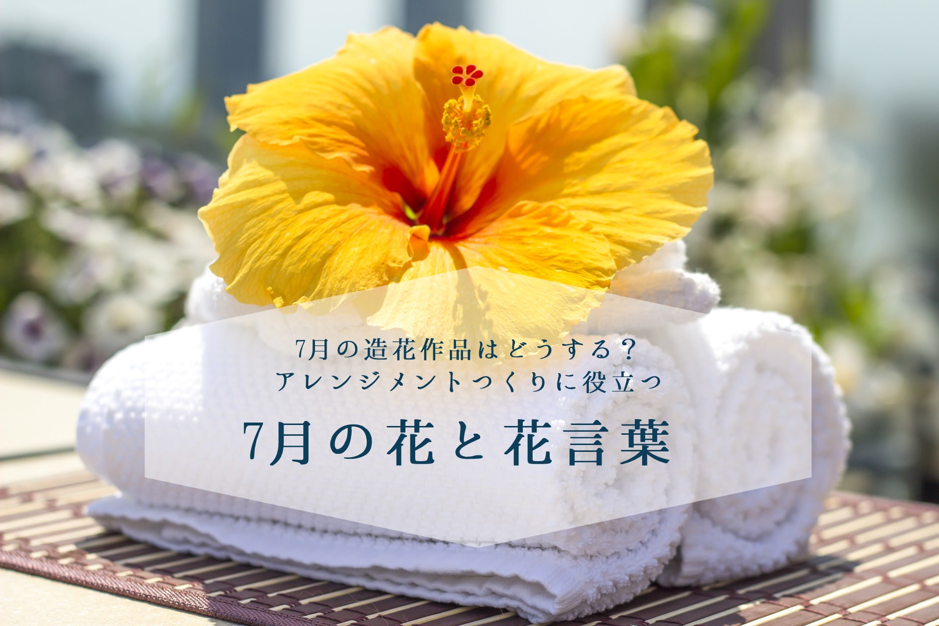 ７月の花と花言葉