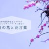 1月の花と花言葉