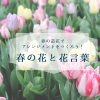 春の花でアレンジメントを作ろう！春の花と花言葉