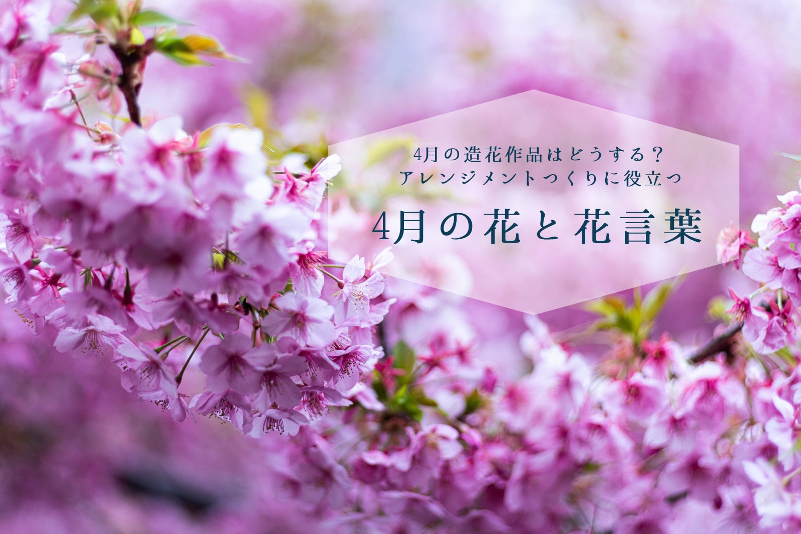 4月の花と花言葉