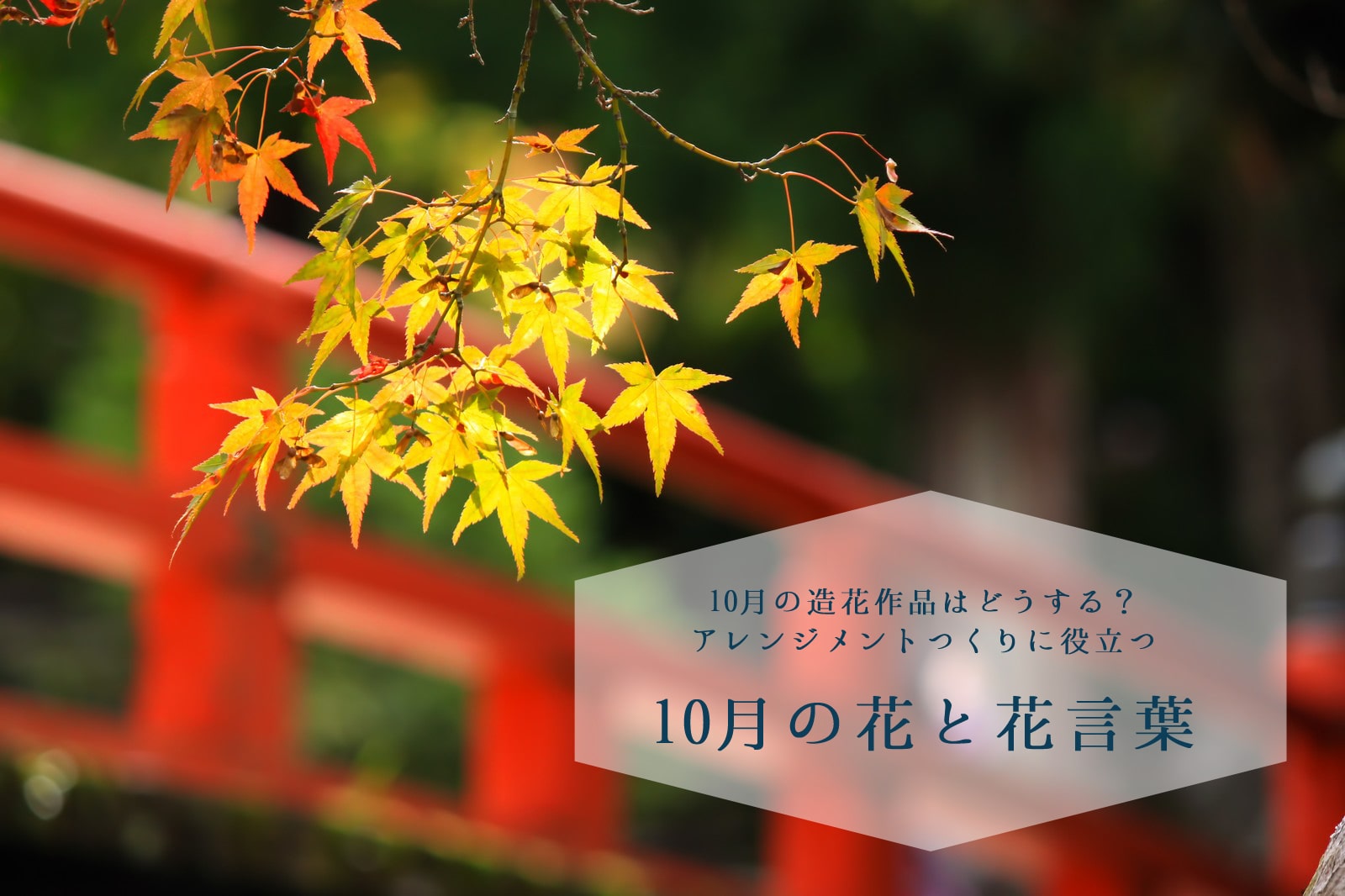 10月の花と花言葉